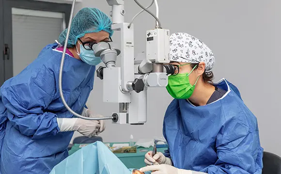Chirurgie oculoplastică